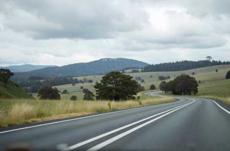 Road in the Australian outback with trees and mountains in the backgroundの素材