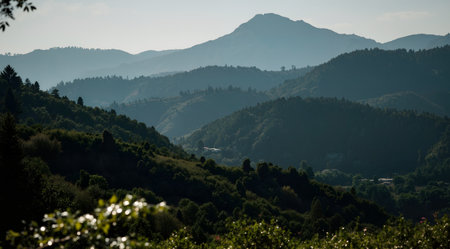 Landscape with mountains and trees in the morning. Crimea, Ukraineの素材