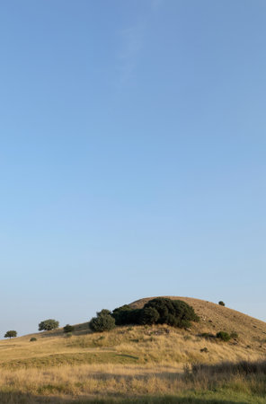 Landscape of the island of Sardinia (Italy) at summerの素材
