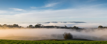 Panoramic view of the misty morning in the English countrysideの素材