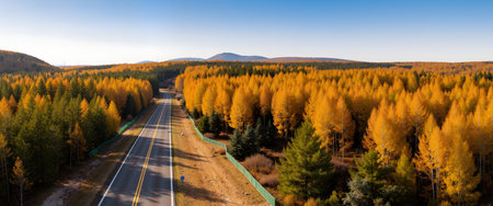 panoramic view of the highway in autumn forest. aerial viewの素材