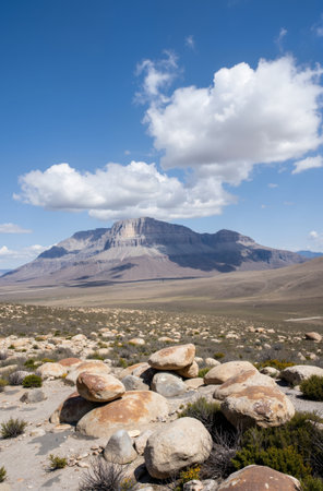 Desert landscape with mountains in the background, Namibia, Africaの素材