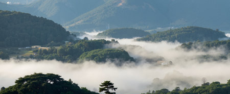 Panoramic view of the foggy landscape in the morning.の素材
