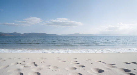 Winding road through a field of yellow wildflowers in summerの素材