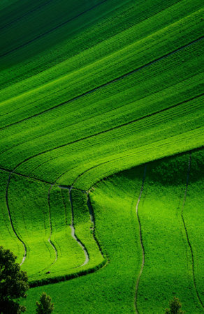 Beautiful landscape with green fields in Moravia, Czech Republic.の素材