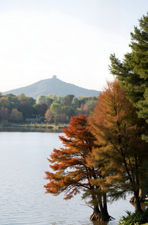 Autumn landscape with lake and mountain in background, Hangzhou, Chinaの素材