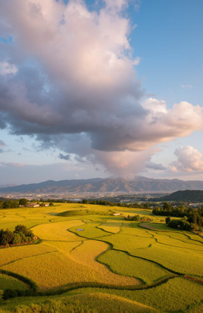 Rice Paddy Fields in Mae Hong Son Province, Thailand.の素材