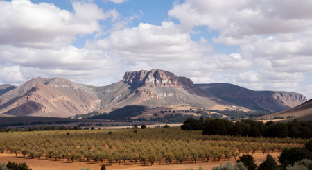 Panoramic view of the mountains in the province of Granadaの素材