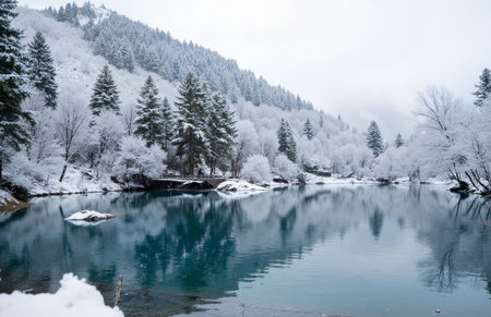 Landscape view of snow covered forest and river in winter season.の素材