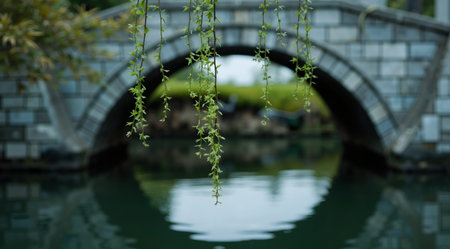 Lush green foliage in the garden with a bridge in the backgroundの素材