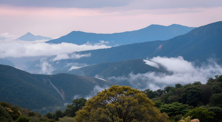 Mountain landscape in the morning with fog and clouds. View from the top of the mountain.の素材