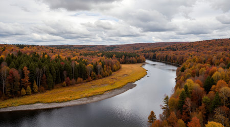 Panoramic view of autumn forest and river. View from above.の素材