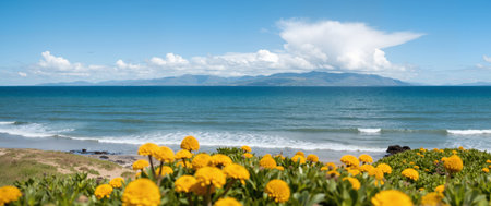 Panoramic view of the beach with yellow flowers and mountains in the backgroundの素材