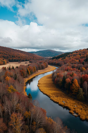 Aerial view of the autumn forest and river. Colorful autumn landscape.の素材