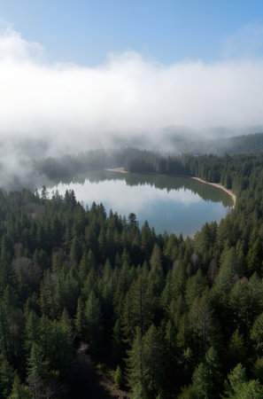 Aerial view of a mountain lake surrounded by coniferous forestsの素材