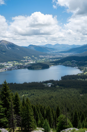 Aerial view of a lake in the mountains. Summer landscape.の素材
