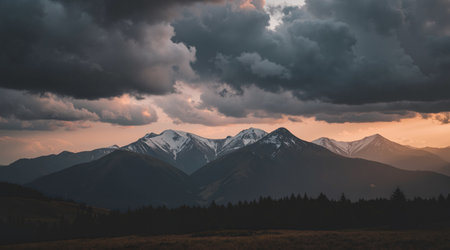 Panoramic view of the prairie with snow capped mountains in the backgroundの素材