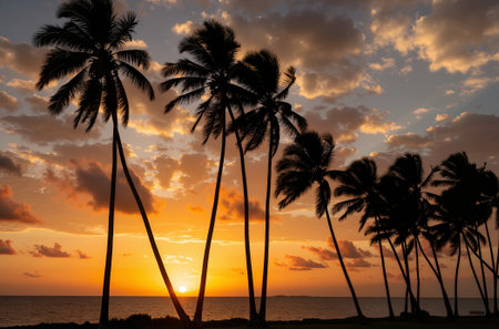 Silhouette of coconut palm trees on the beach at sunset.の素材