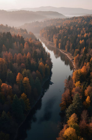 Beautiful autumn landscape with river and forest in fog. Aerial viewの素材