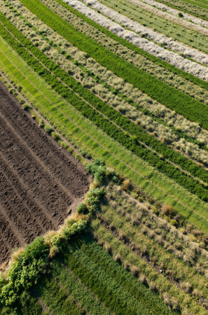 Aerial view of a freshly plowed agricultural field in spring.の素材