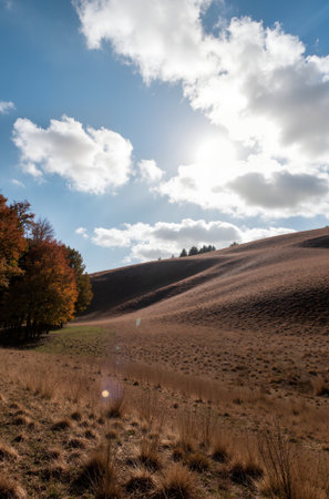 Beautiful autumn landscape in the Tuscany region, Italy.の素材