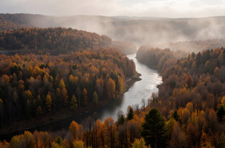 Autumn landscape with river and fog in the forest. View from above.の素材