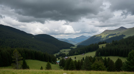 Panoramic view of the valley in the Carpathian mountainsの素材