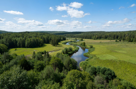 Aerial view of the river in the forest. Summer landscape.の素材