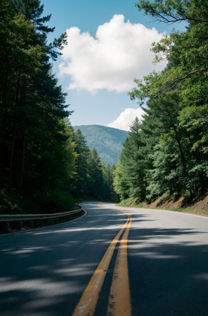 Road in the mountains with trees and blue sky in summer day.の素材