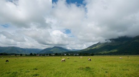 Sheep grazing in a meadow with mountains in the background.の素材