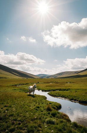 White horse grazing on the grassland in the mountains. Russia.の素材