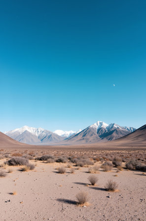 Desert Landscape in Death Valley National Park, California, USAの素材