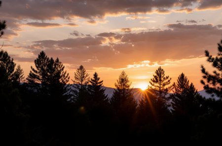 Sunset in the mountains with silhouettes of coniferous treesの素材