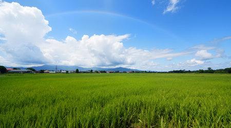 Beautiful lake in the forest on a sunny day with blue skyの素材