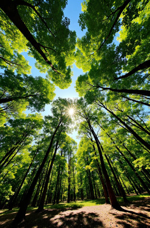 Beautiful sunset over the river with hay bales in the foregroundの素材