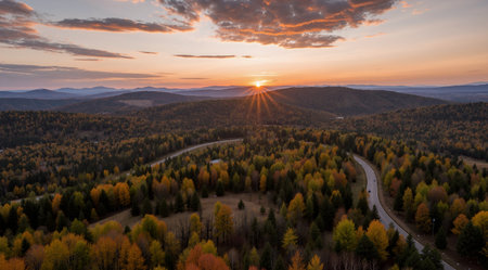 Aerial view of autumn forest and road in the mountains at sunsetの素材