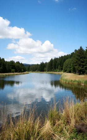 Lake in the forest with blue sky and white clouds on the backgroundの素材