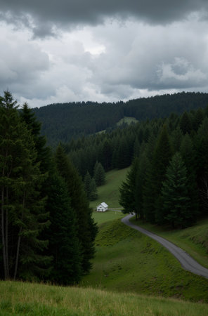 Landscape in the Carpathian Mountains, Transylvania, Romaniaの素材