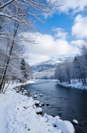 Beautiful winter landscape with snow covered trees and river in the mountainsの素材