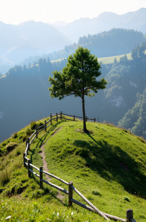 Lonely tree on a hillside in the Austrian Alps.の素材