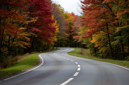 Asphalt road in the autumn forest with colorful trees in the backgroundの素材