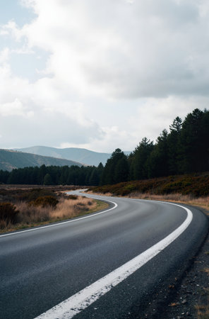 Asphalt road in the mountains on a cloudy day in autumn.の素材