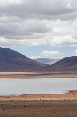 Laguna de Atacama, Altiplano, Boliviaの素材