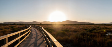 wooden boardwalk in the desert at sunset, panorama.の素材
