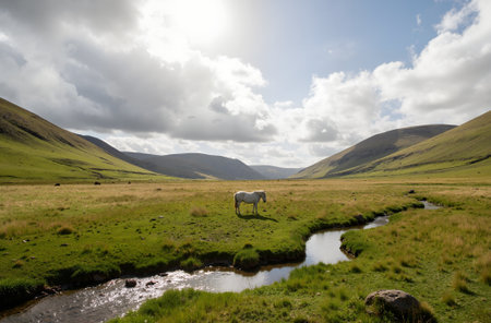 Horse on the grassland next to a small stream in Scotlandの素材