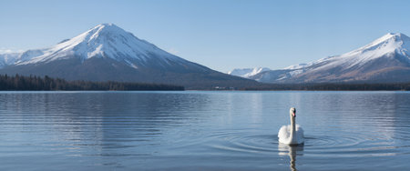 Mute swan swimming on a lake with mountains in the backgroundの素材