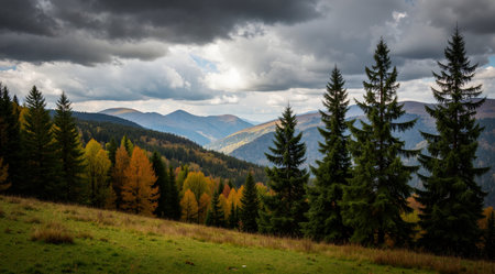 Beautiful autumn landscape in the Carpathian Mountains, Ukraine.の素材