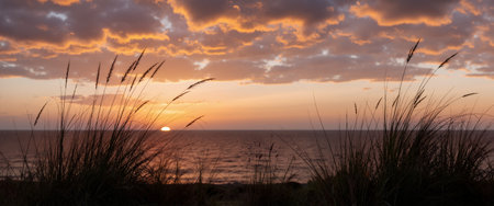 Sunset over the sea with grass in foreground and dunes in backgroundの素材