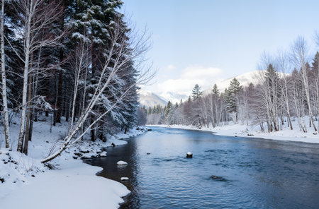Beautiful winter landscape with frozen river and snow-covered forest.の素材