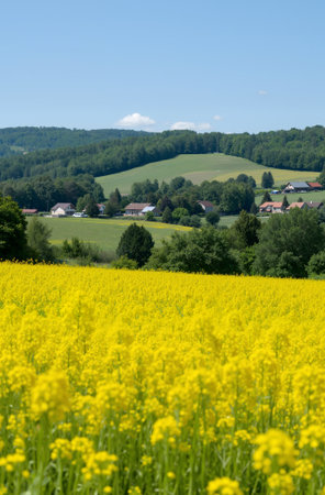 Landscape with rape field and village in Bavaria, Germany.の素材